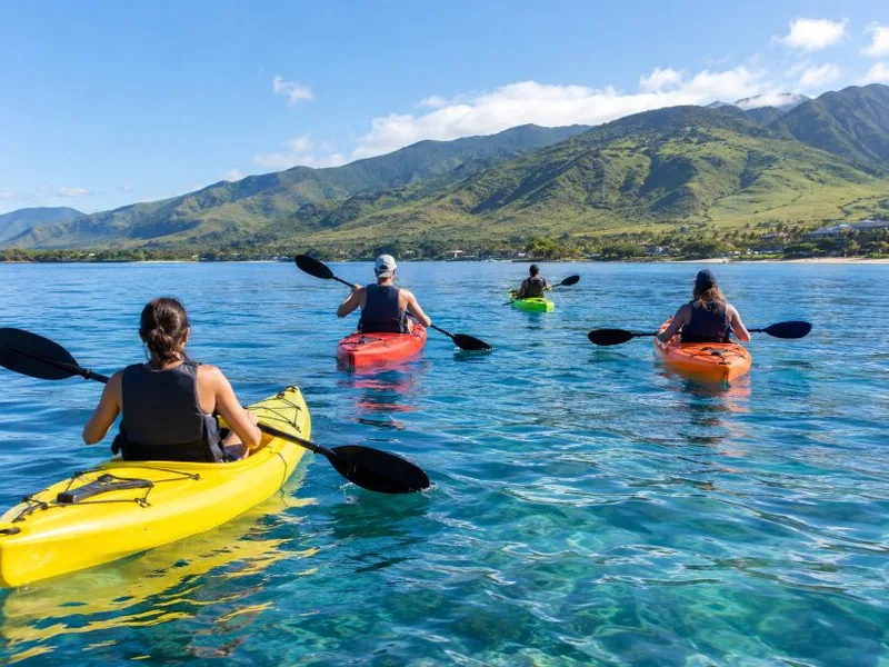 Turtle Town Kayak and Snorkel Tour