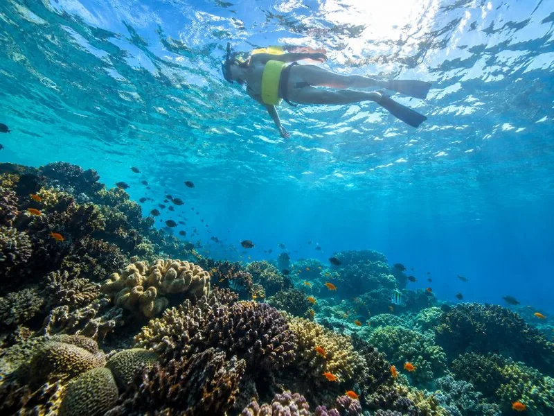 Molokini Crater Snorkeling Trip, 2 Hours