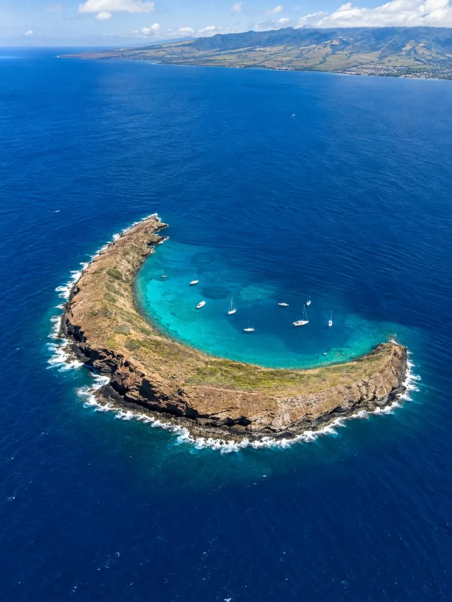 The crescent-shaped islet of Molokini in deep blue water, seen from above, with snorkel boats moored inside the curve
